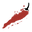 www.omasambal.com favicon